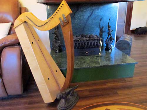 Home is where harps and dogs can be found. A photograph of harp and hearth.