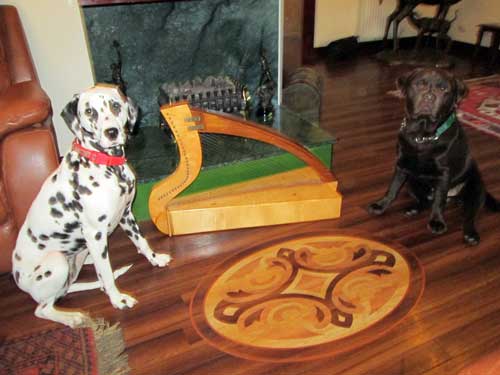A photograph of two dogs, a harp, and hearth.
