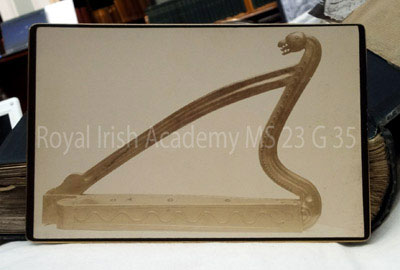 Royal Irish Academy Bell harp photo